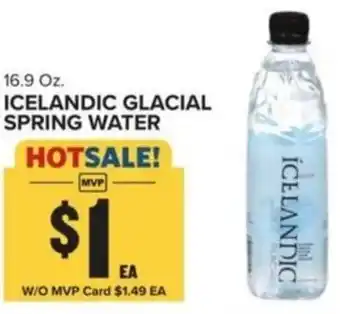 Food Lion Icelandic glacial spring water offer