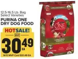 Food Lion Purina one dry dog food offer