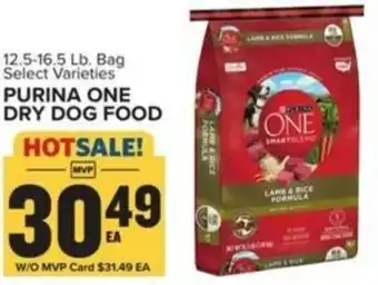 Food Lion Purina one dry dog food offer