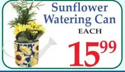 Market Basket Sunflower Watering Can offer