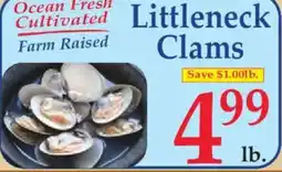 Market Basket Littleneck Clams offer