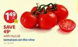 Lidl Tomatoes offer