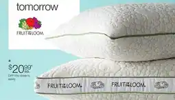 JC Penney Fruit Of The Loom Soft/Medium Or Firm Avocado Standard/Queen Pillow offer