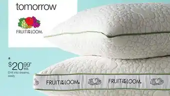 JC Penney Fruit Of The Loom Soft/Medium Or Firm Avocado Standard/Queen Pillow offer