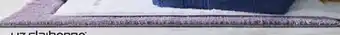 JC Penney Liz Claiborne Signature Plush 17x24 Bath Rug offer