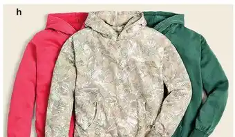 JC Penney Young Men's Arizona Fleece Hoodies offer