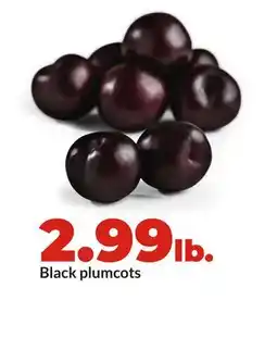 Hy-Vee Black plumcots offer