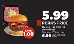 Hy-Vee Hy-Vee True grass fed ground beef offer