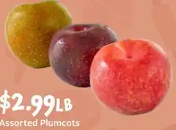 Fareway Assorted Plumcots offer