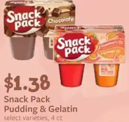Fareway Snack Pack Pudding & Gelatin offer