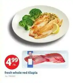 Lidl Fresh whole red tilapia offer