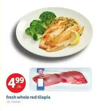 Lidl Fresh whole red tilapia offer
