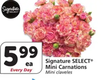 Albertsons Signature SELECT Mini Carnations offer