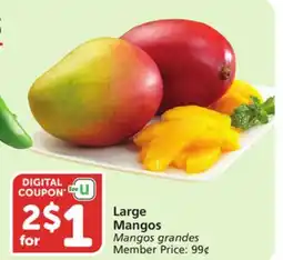 Albertsons Large Mangos offer