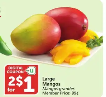 Albertsons Large Mangos offer