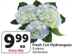 Albertsons Fresh Cut Hydrangeas offer