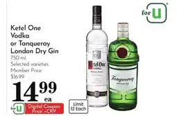 Pavilions Ketel One Vodka or Tanqueray London Dry Gin offer