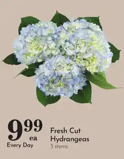Pavilions Fresh Cut Hydrangeas offer