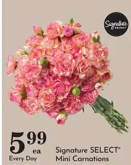 Pavilions Signature SELECT Mini Carnations offer