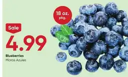 Stater Bros Blueberries offer