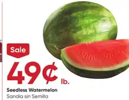Stater Bros Seedless Watermelon offer