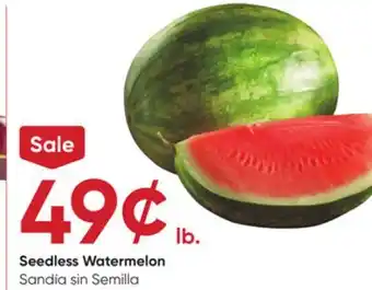Stater Bros Seedless Watermelon offer