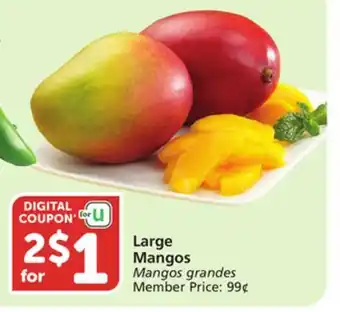 Vons Large Mangos offer