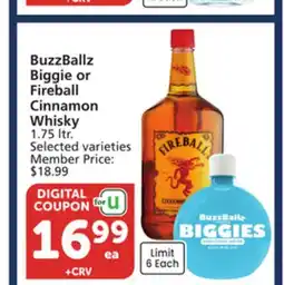 Vons BuzzBallz Biggie or Fireball Cinnamon Whisky offer