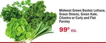 Heinen's Midwest Grown Boston Lettuce, Green Onions, Green Kale, Cilantro or Curly and Flat Parsley offer