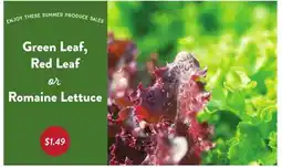Fresh Thyme Green Leaf, Red Leaf or Romaine Lettuce offer