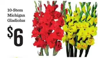 Mariano's 10-Stem Michigan Gladiolus offer
