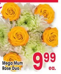 Jewel-Osco Mega Mum Rose Duo offer