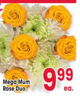 Jewel-Osco Mega Mum Rose Duo offer