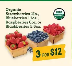Sprouts Farmers Market Organic Strawberries 1lb., Blueberries 11oz., Raspberries 6oz. or Blackberries 5.6oz offer
