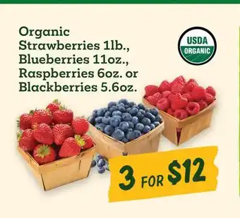 Sprouts Farmers Market Organic Strawberries 1lb., Blueberries 11oz., Raspberries 6oz. or Blackberries 5.6oz offer
