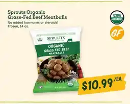 Sprouts Farmers Market Sprouts Organic Grass-Fed Beef Meatballs offer