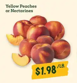 Sprouts Farmers Market Yellow Peaches or Nectarines offer