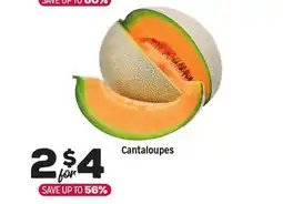 Grocery Outlet Cantaloupes offer