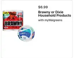 Walgreens Brawny or Dixie Household Products offer
