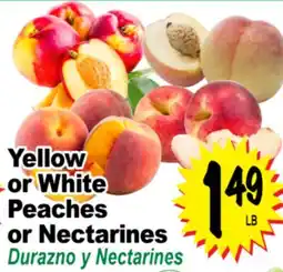 Superior Grocers Yellow or White Peaches or Nectarines offer