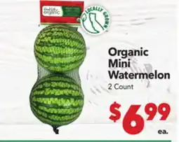 Vallarta Supermarkets Organic Mini Watermelon offer