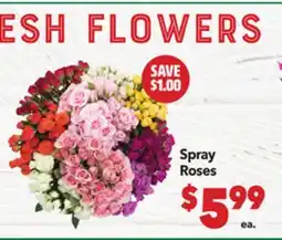 Vallarta Supermarkets Spray Roses offer