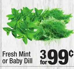 Super King Markets Fresh Mint or Baby Dill Fresh Mint offer