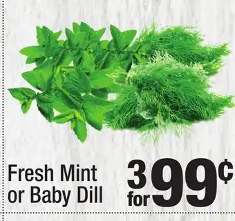 Super King Markets Fresh Mint or Baby Dill Fresh Mint offer