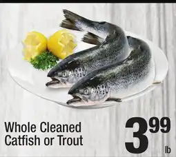 Super King Markets Whole Cleaned Catfi sh or Trout offer