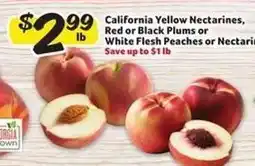 Winn Dixie California Yellow Nectarines, Red or Black Plums or White Flesh Peaches or Nectarines offer