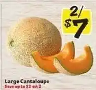 Winn Dixie Large Cantaloupe offer