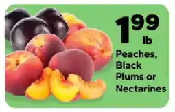 Save a Lot Peaches, Black Plums or Nectarines offer