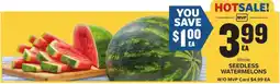 Food Lion Whole Seedless Watermelons offer