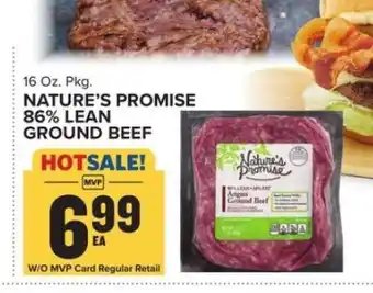 Food Lion Nature's Promise 86% Lean Ground Beef offer